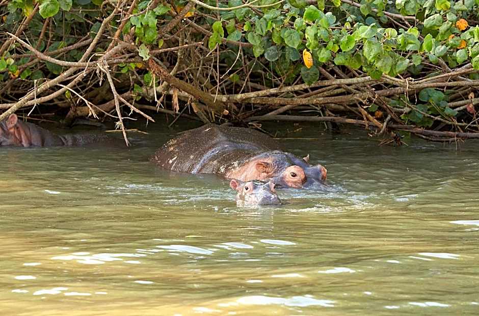 First Group Lake View Cabanas
