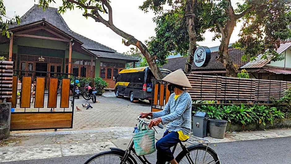 Sleepy Raccoon Hostel