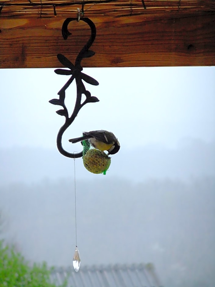 Chambres d'Hôtes Le Foursou