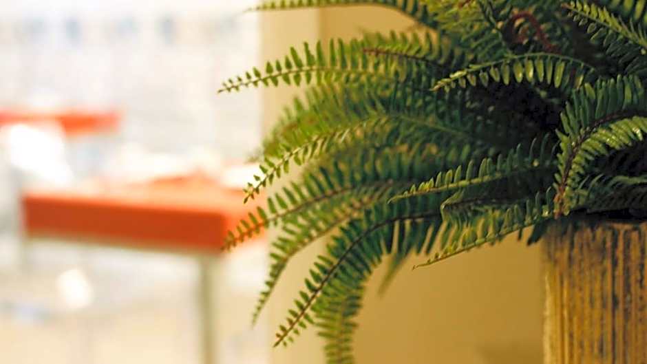 Les Suites Bari BED AND BREAKFAST