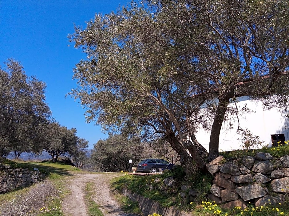 L'Antica Quercia B&B