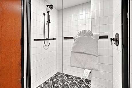 1 King Standard Mobility Accessible Roll Shower
