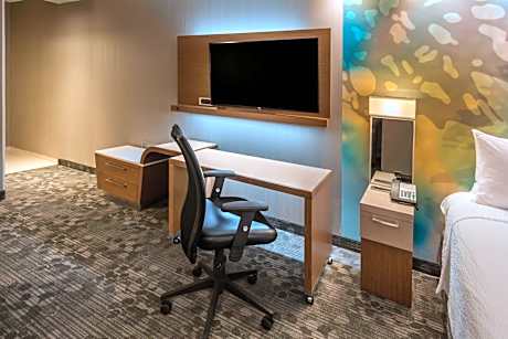 Larger, Suite, 1 King, Sofa bed