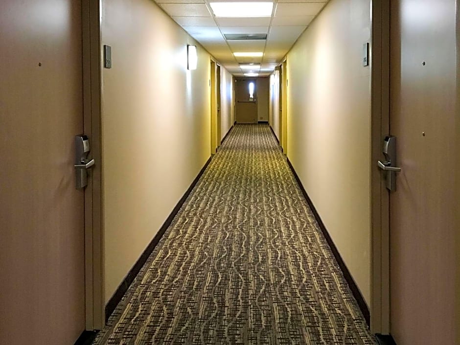 Comfort Inn & Suites near Kino Sports Complex