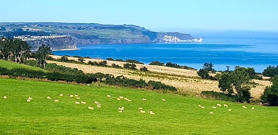 Maghernahar House B&B