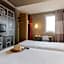 ibis Albi