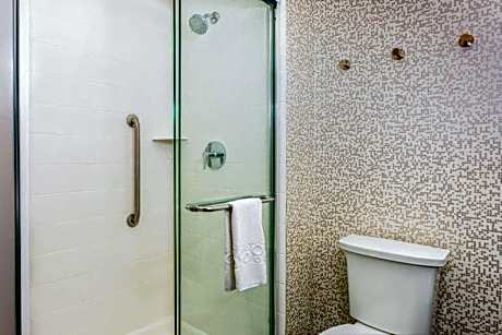 2 Queen Hearing Accessible Studio Suite