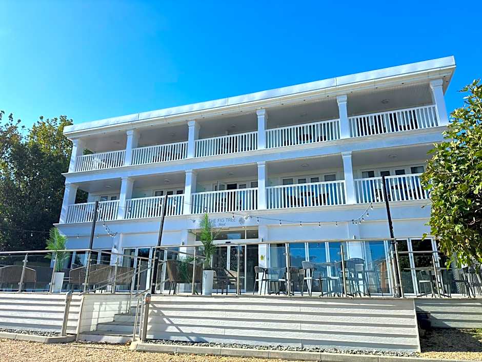 The Fig Tree Shanklin