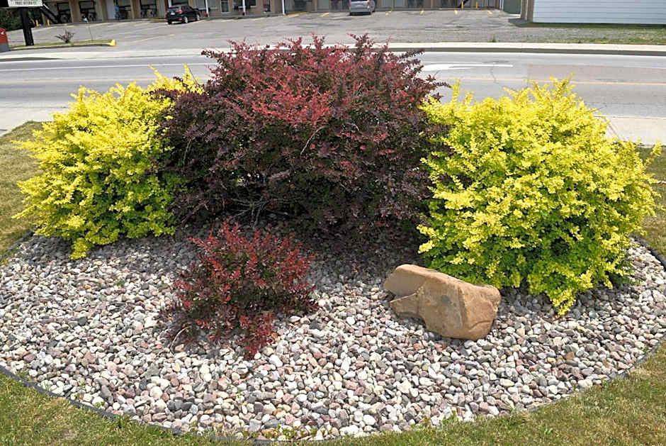 Knights Inn Arnprior