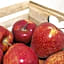 Olbia City Hotel & Spa
