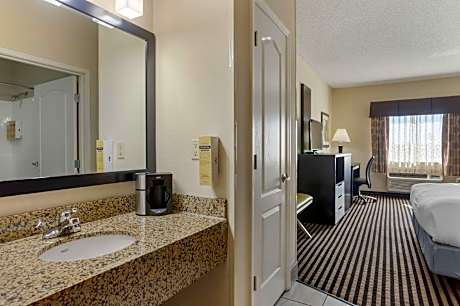 1 King Bed Non-Smoking Pet Friendly Room Microwave And Refrigerator Wi-Fi Full Breakfast