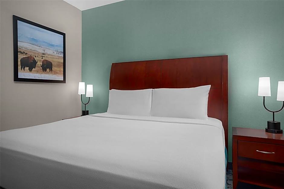 Hilton Garden Inn Denver Downtown