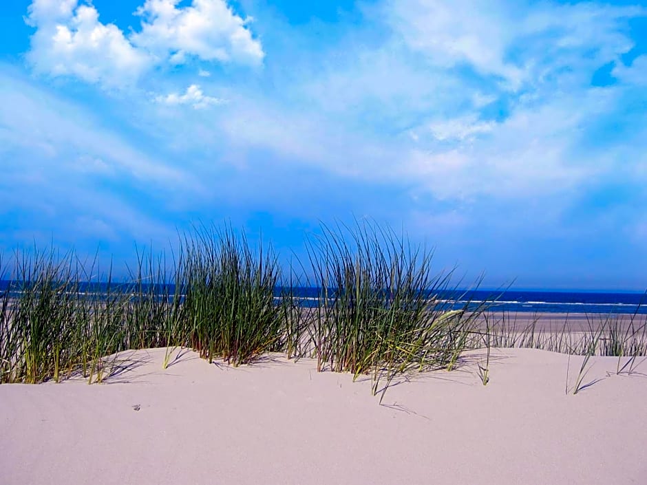 Bed & Breakfast Zeeduinsepoort met Sauna