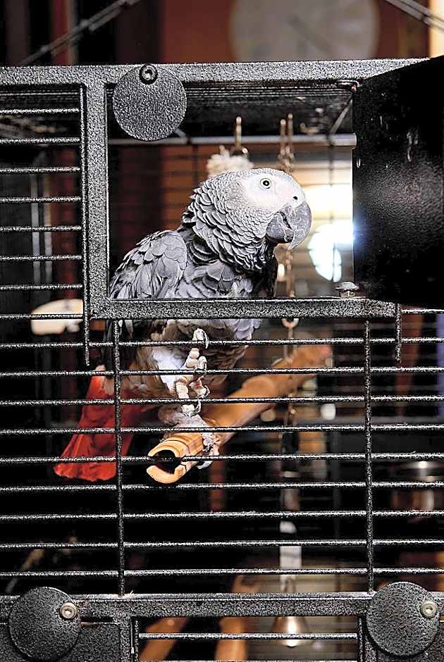 Sunny Beach Hotel Forum - All Inclusive