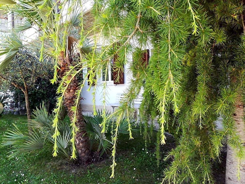 Angolo Felice B&B