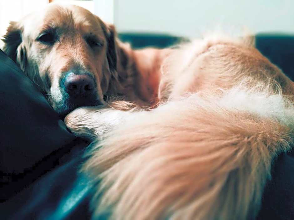 Foresteria Pellegrino