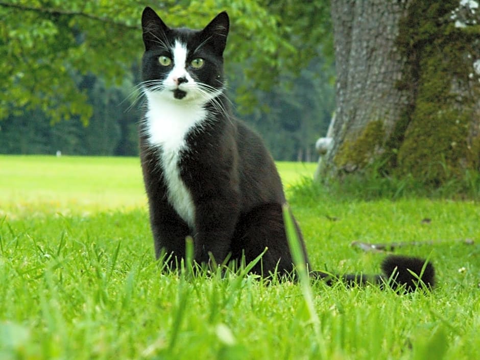 Ferienhof HINTERSTRASSER