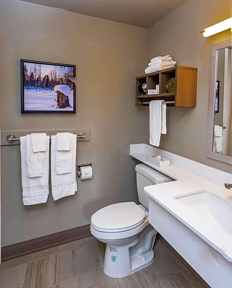 Bridgewater Hotel, Trademark Collection by Wyndham