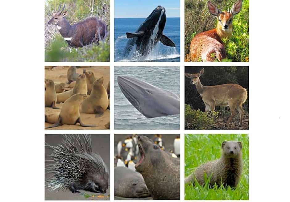 Erika27 Top B&B Choice