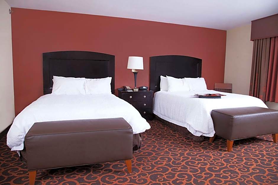 Hampton Inn By Hilton and Suites Dickinson ND