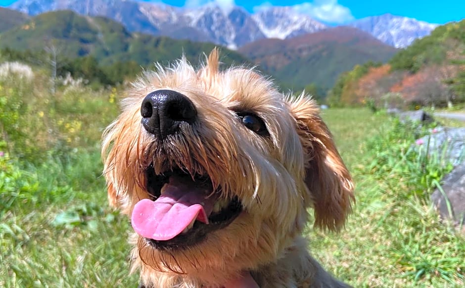 Hakuba Powder Mountain