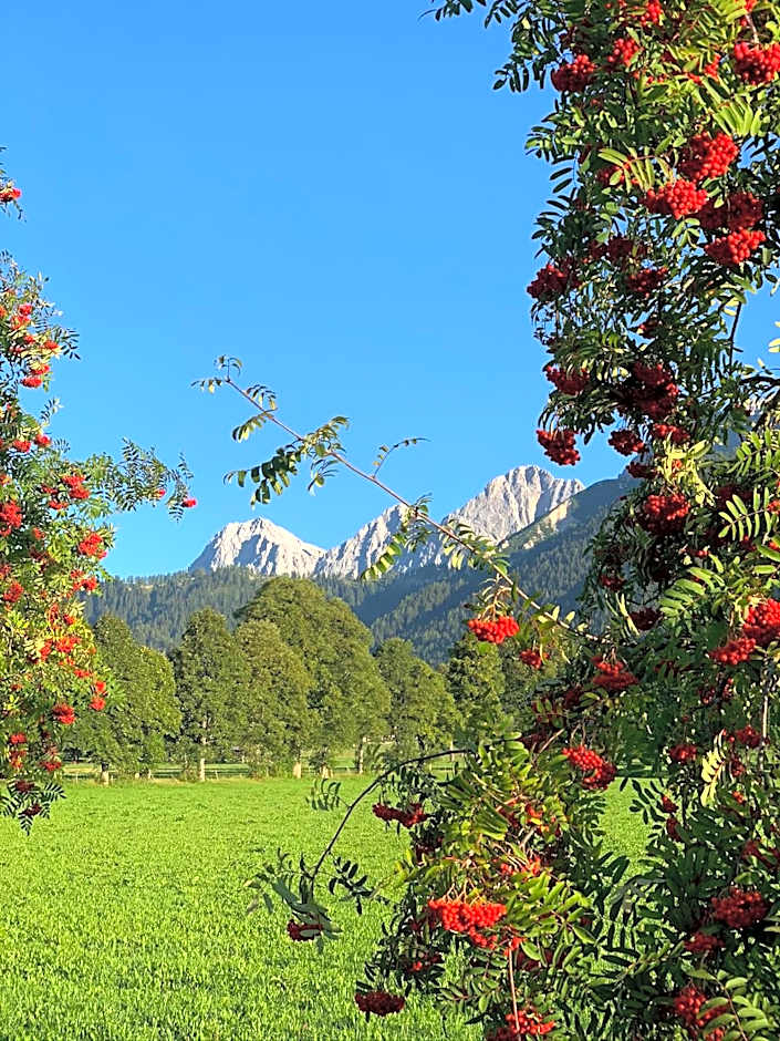 Aparthotel DAS Hochkönig