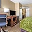 Comfort Inn Edison