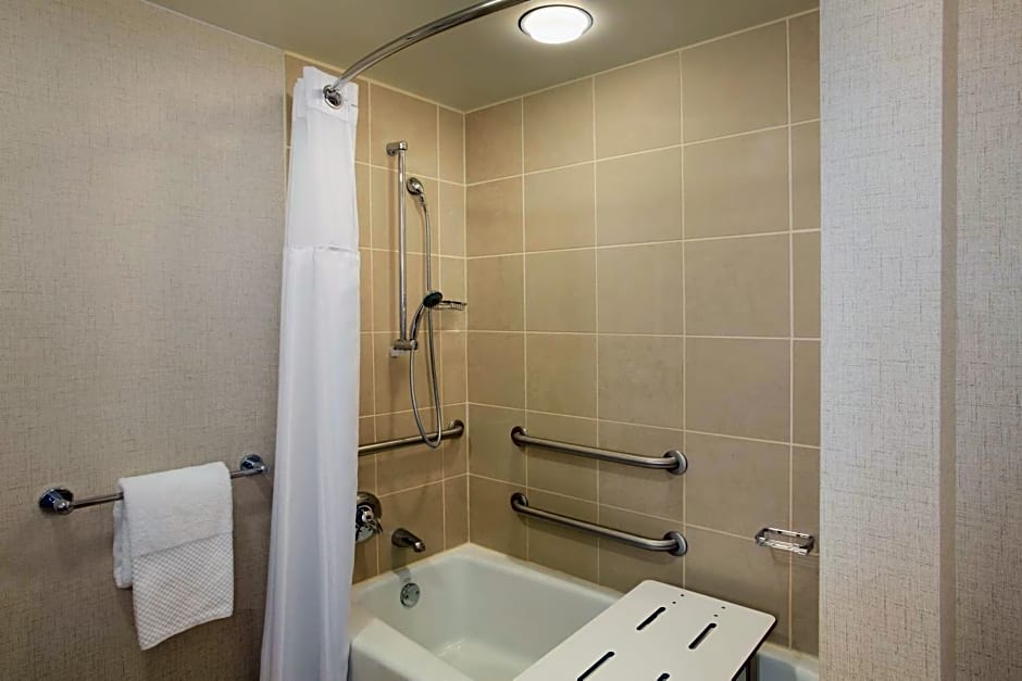 Hilton Chicago/Magnificent Mile Suites