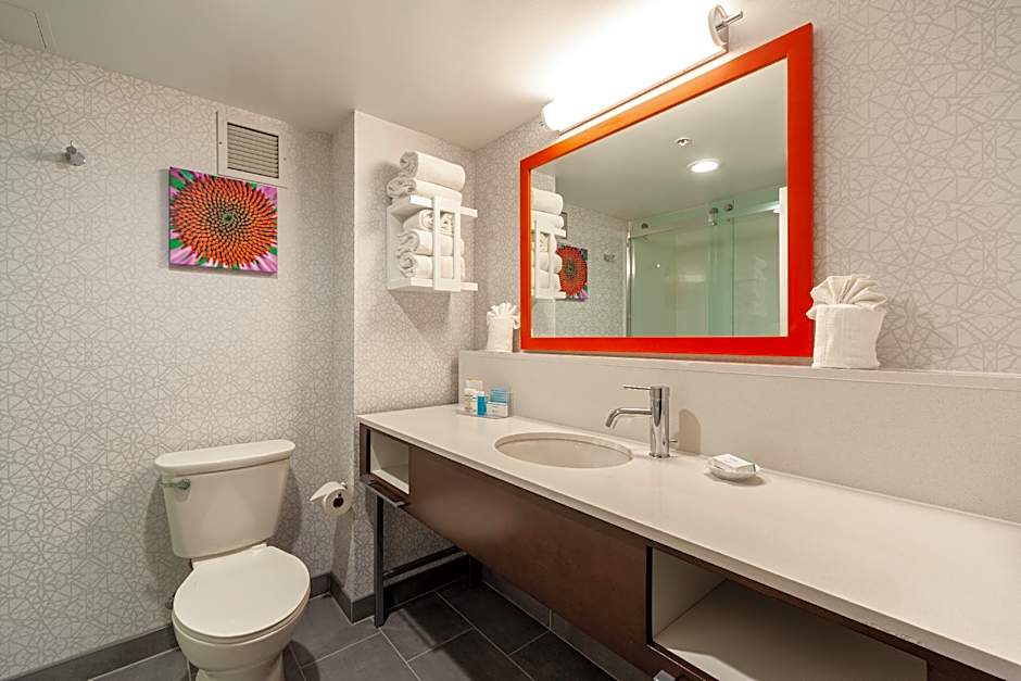 Photo 1 of 10 of 1 King Bed, Hearing/Mobility Accessible, Bathtub
