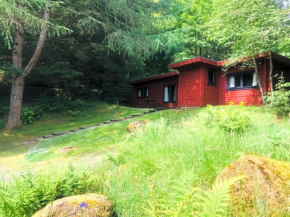 Hillside Log cabin, Ardoch Lodge, Strathyre