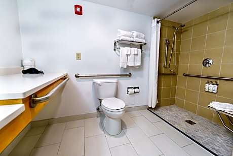 King Room with Roll-In Shower - Disability Access