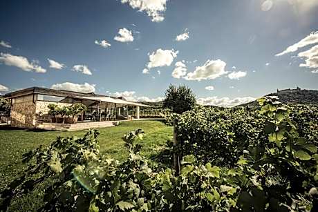 Deluxe Suite with Sauna