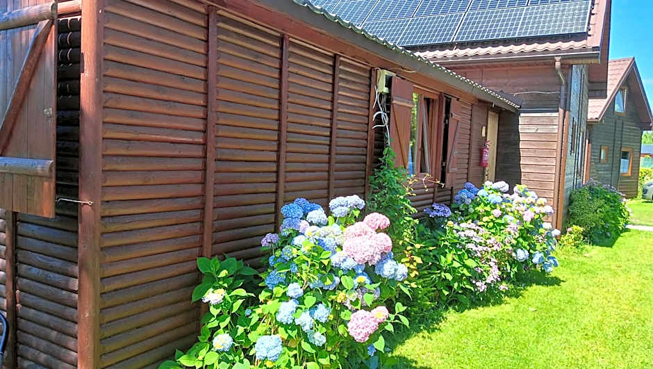 Domki Letniskowe Oaza Wicie