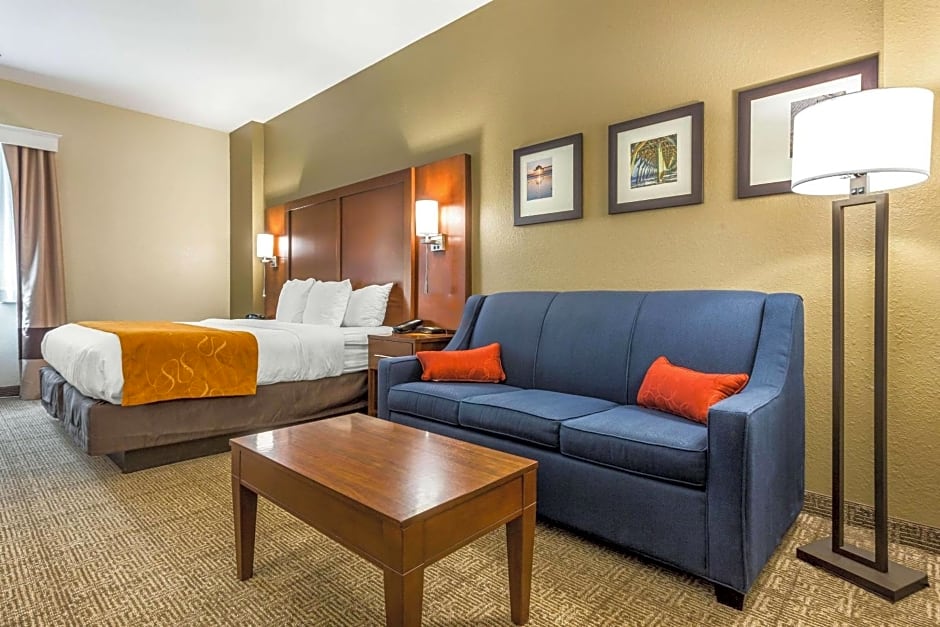 Comfort Suites At the University