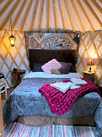 Queen Yurt at Yurt Village with Shared Bathroom
