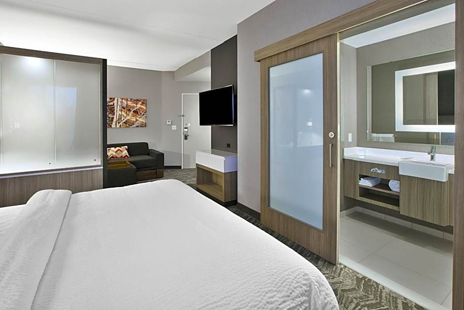 SpringHill Suites by Marriott Chattanooga North/Ooltewah