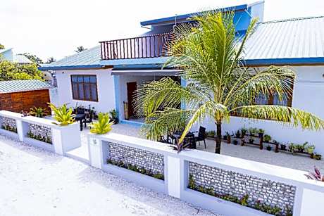 Blue Coral Vashafaru Maldives