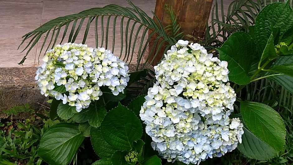 Chácara das flores