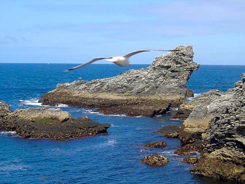 ty dreux entre terre et mer