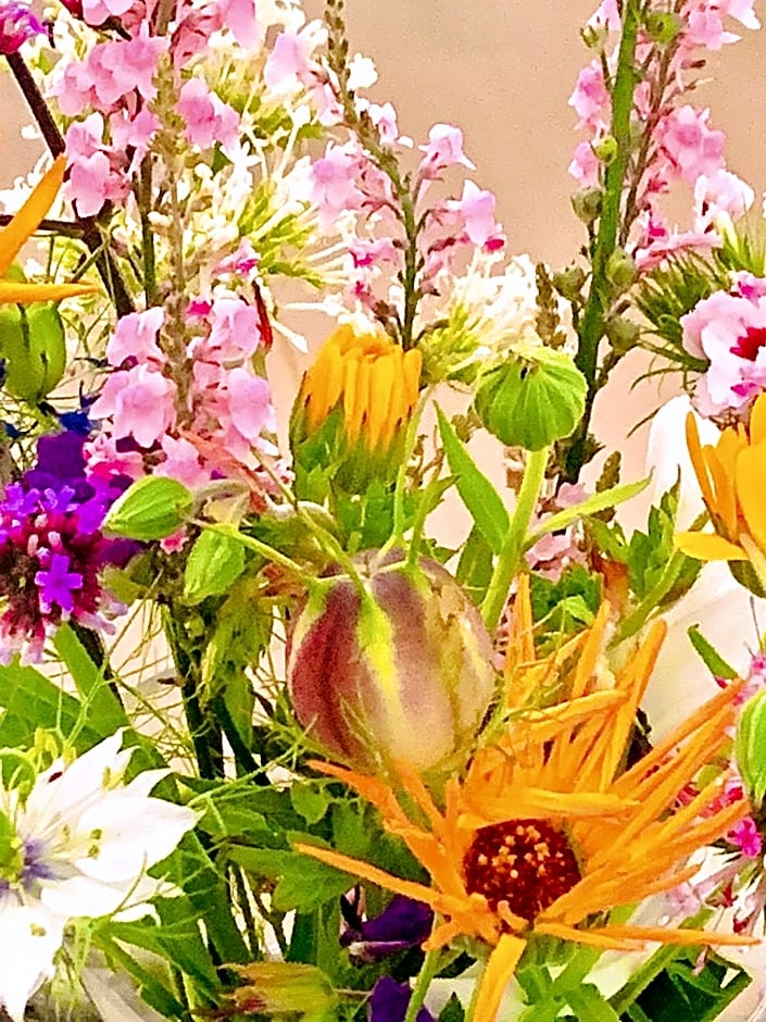 Bed & Breakfast Jo Amsterdam