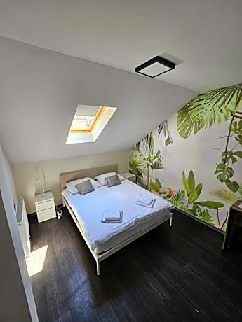 Double Room with Shared Bathroom