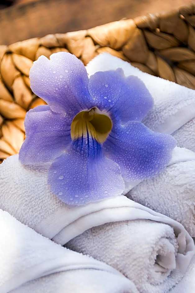 Grand Matlali Suites & Villas Riviera Nayarit