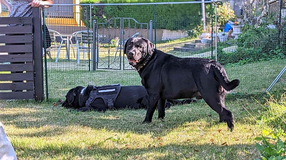 Pension Alba - Vacation STAY 70965v