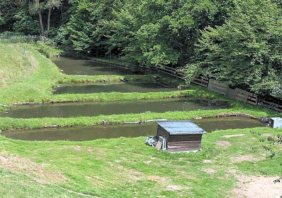 Ferienwohnung "Hieren Mühle"