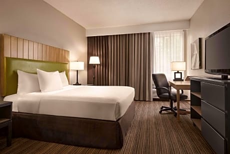 1 Queen Bed, Nonsmoking, Accessible
