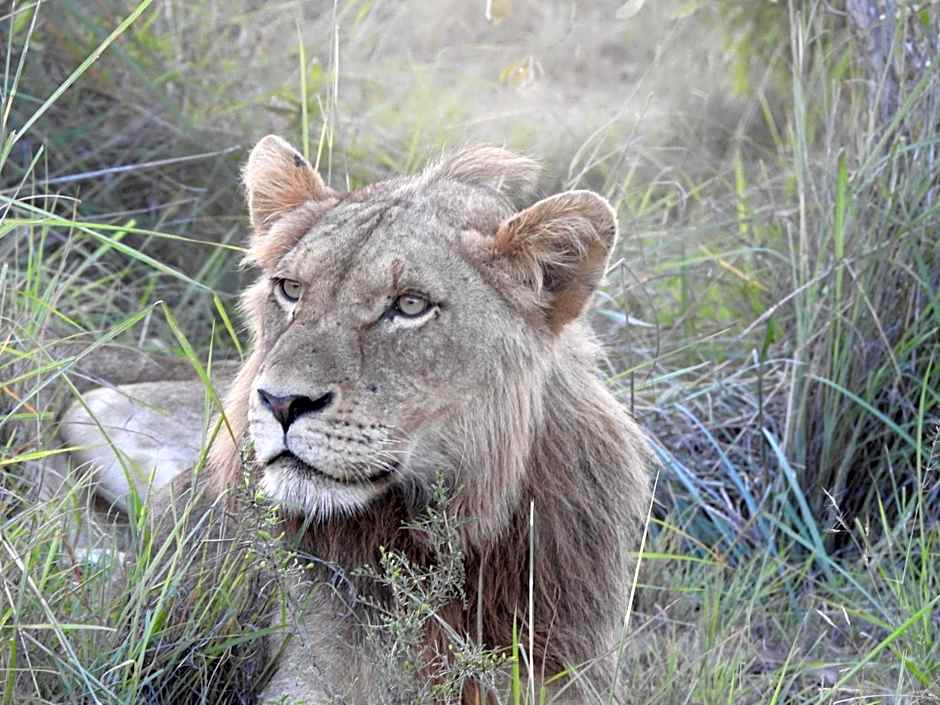 Khululeka Safaris Lodge