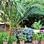Palm Court Suites Ayvalik