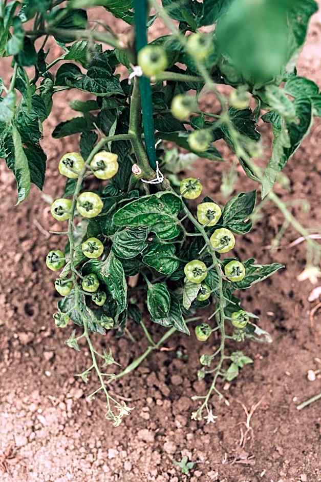 Matild Country Hotel