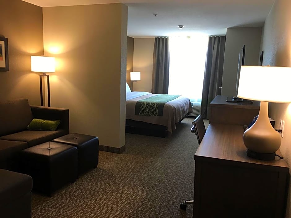 Comfort Inn & Suites Snyder