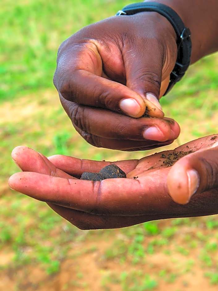 Ku Sungula Safari Lodge